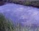 roll4_019_small.jpg