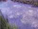 roll4_020_small.jpg