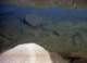 roll4_024_small.jpg