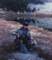 Mike Dufish caught this one from his secret rainbow trout lake in the High Sierra 1987
