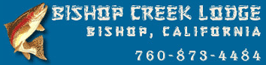Bishop Creek Drainage Fish Report