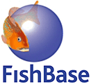 Find information on any fish specie