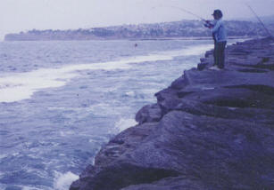 Angler at the Federal Breakwall in San Pedro pulls up a starfish.