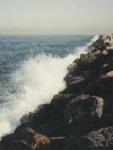 Watch out for rougue waves when you fish from breakwalls.