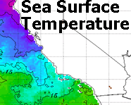 NOAA National Oceanographic Data Center sea surface temps
