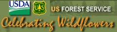 Find wildflower areas on US Forest Service lands