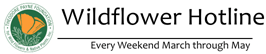 Theodore Payne's Wildflower Hotline every March through May