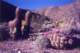 anzaborrego_small.jpg