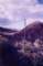 carrizocanyon_small.jpg