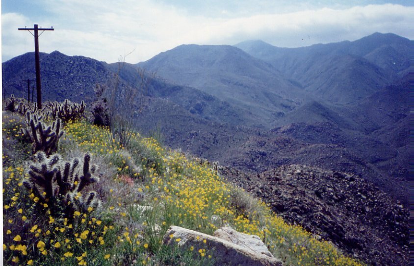 carrizogorge2.jpg