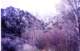 georgecreekcanyon_small.jpg