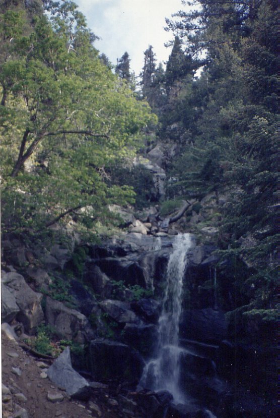 gorgoniowaterfall.jpg