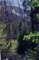 leeviningcreek2_small.jpg