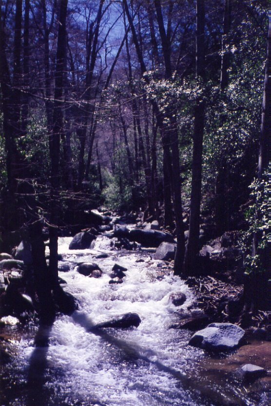 millercanyon.jpg