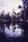 pondnearhidden_small.jpg