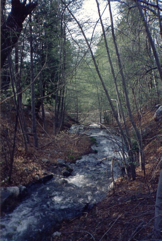 uppersantaanariver.jpg