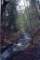 uppersantaanariver_small.jpg