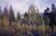 wheelerridge_small.jpg
