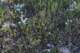 gopr0079_small.jpg