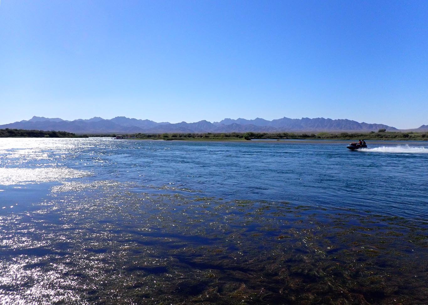 Hung out with Wolfie at his pad on the Colorado River 10/9/2021