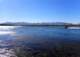 Hung out with Wolfie at his pad on the Colorado River 10/9/2021