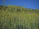 imgp0002_small.jpg