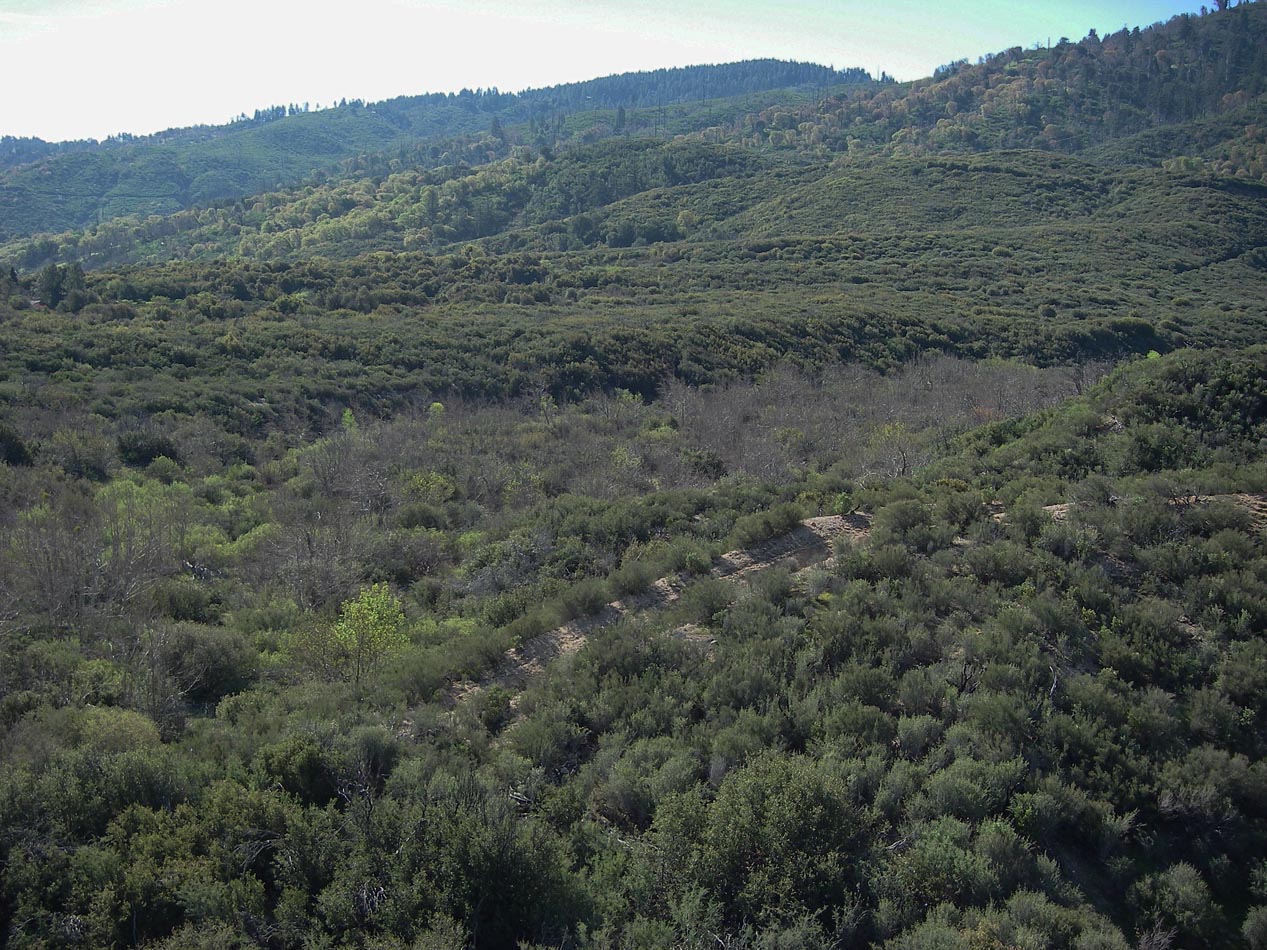 imgp0008.jpg
