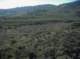 imgp0008_small.jpg