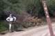 imgp0015_small.jpg