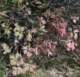 imgp0018_small.jpg