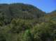 imgp0020_small.jpg