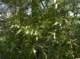 imgp0022_small.jpg