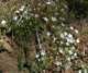 imgp0024_small.jpg