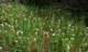 imgp0025_small.jpg