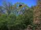 imgp0026_small.jpg