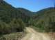 imgp0027_small.jpg