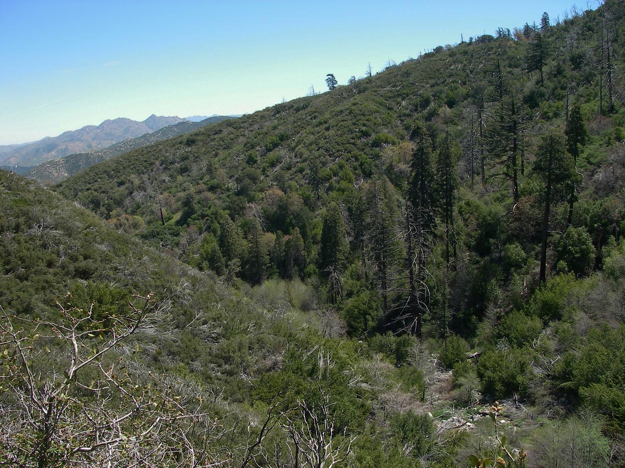 imgp0030.jpg