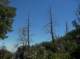imgp0031_small.jpg
