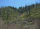 imgp0033_small.jpg