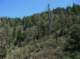 imgp0034_small.jpg