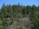 imgp0035_small.jpg