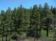imgp0036_small.jpg