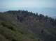 imgp0037_small.jpg