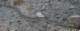 imgp0047_small.jpg