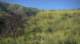 imgp0001_small.jpg