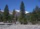 imgp0005_small.jpg