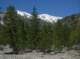 imgp0008_small.jpg