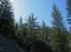 imgp0010_small.jpg