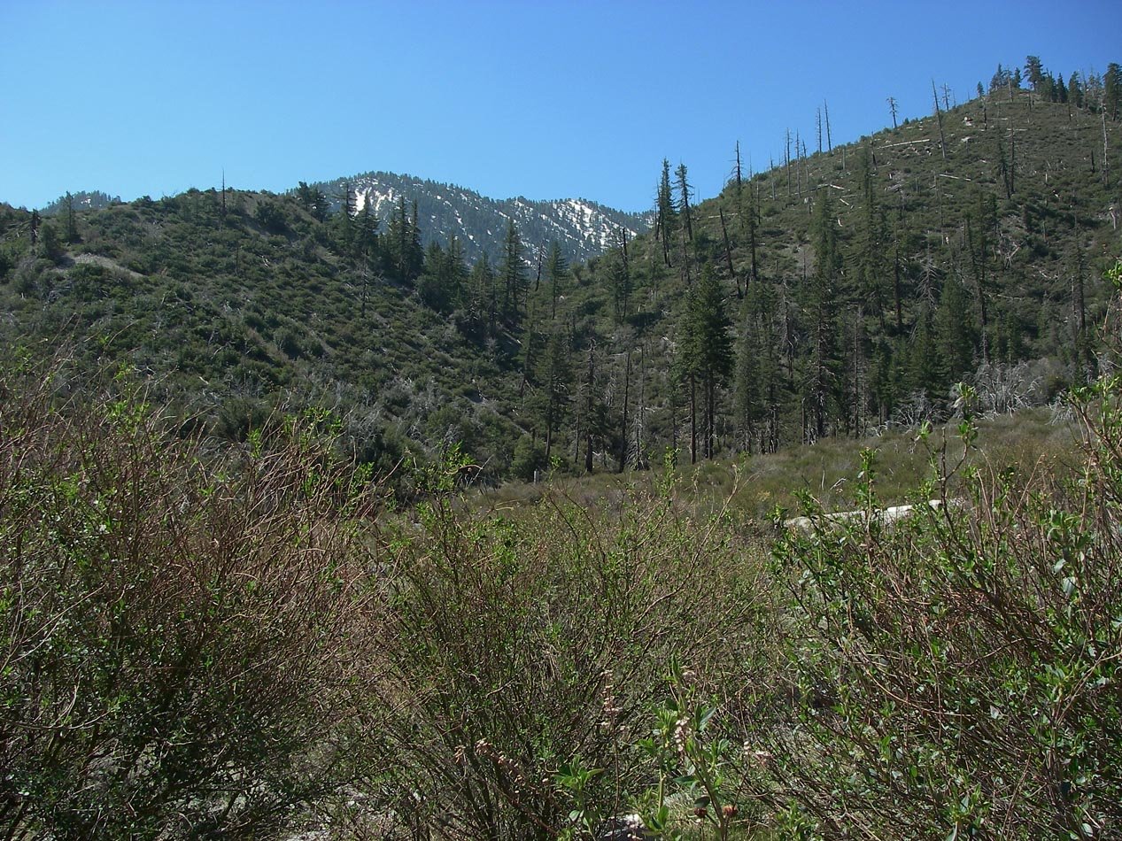 imgp0011.jpg