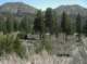 imgp0013_small.jpg